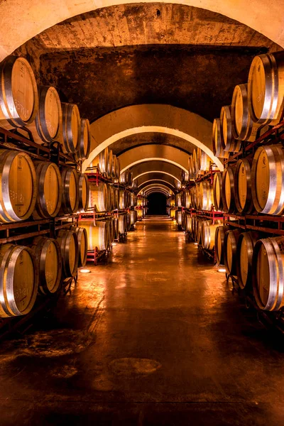 Kelder Van Een Wijnkelder Met Macererende Wijnvaten — Stockfoto