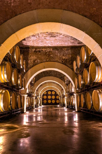 Wine barrels. Winery in Spain that keeps French oak barrels to ferment the wine.