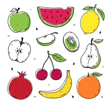 A set of fruits and berries in doodle style vector