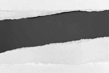 Gri arka planda beyaz yırtık kağıt. koleksiyon kağıdı yırtılması