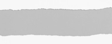 Gri arka planda beyaz yırtık kağıt. koleksiyon kağıdı yırtılması