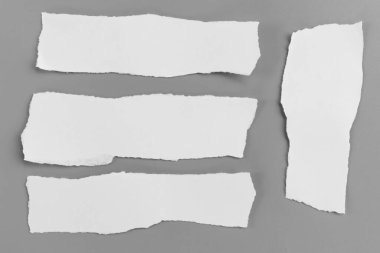 Gri arka planda beyaz yırtık kağıt. koleksiyon kağıdı yırtılması