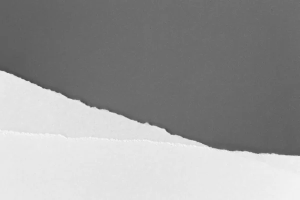 Kertas Putih Robek Pada Latar Belakang Abu Abu Rip Kertas — Stok Foto