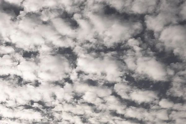 White Fluffy Clouds Blue Sky Panorama Blue Sky Background Tiny — Photo
