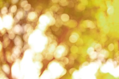 Altın bulanıklık arka plan. sarı bokeh bulanık Noel güzel parlak Noel ışıkları.