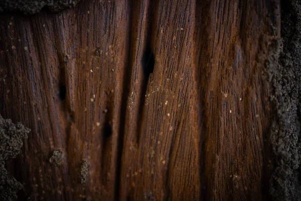 Brown Wood Texture Background Wood Texture Natural Pattern — Fotografia de Stock