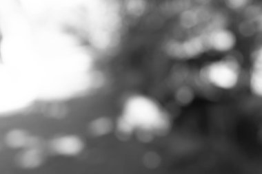 bokeh soyut bulanıklık arka plan