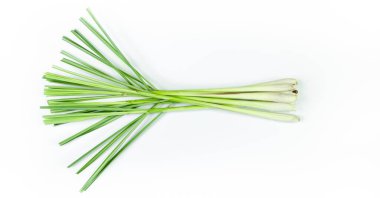 Beyaz arka planda taze limon çimeni. Cymbopogon Kalesi.