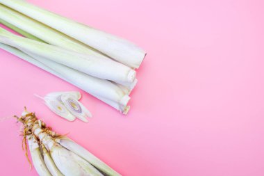 Pembe arka planda taze limon otu. Cymbopogon Kalesi.