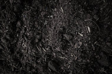 Kara toprak arka planı. Doğal toprak dokusu. Toprak yığını humus arka planı.