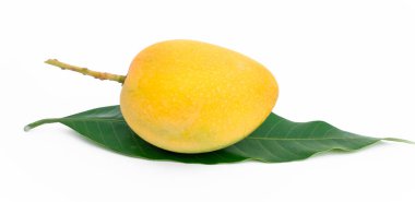 Beyaz arka planda sarı mango. Olgun mango altın sarısı renginde ve çok çekici görünüyordu.