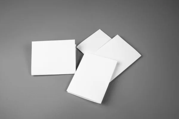 Blank Portrait Mock Paper Brochure Magazine Isolated Gray Changeable Background — Stock Photo, Image