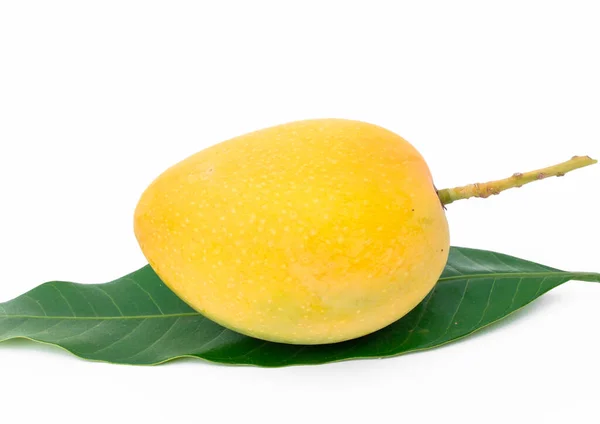 Gelbe Mango Auf Weißem Hintergrund Die Reife Mango Ist Goldgelb — Stockfoto