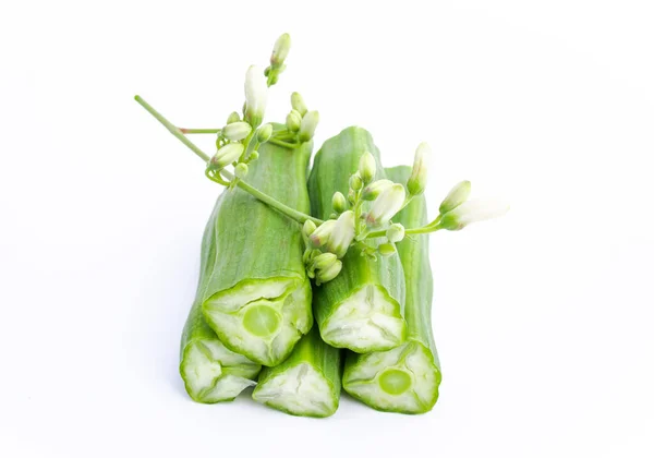 Moringa White Background Moringa Oleifera Nature Health Fever Meds Prevent — Fotografia de Stock