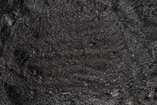 black earth background. natural soil texture. Pile heap of soil humus backdrop.