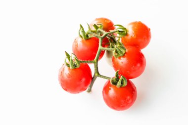 Beyaz arka planda domates. Lycopersicon esculentum.