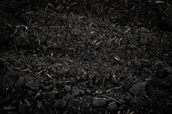 Black Earth Background Natural Soil Texture Pile Heap Soil Humus — Fotografia de Stock