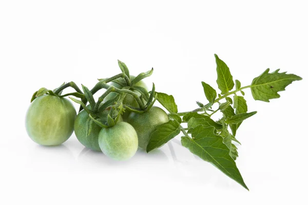 Fresh Green Tomato Isolated — Fotografia de Stock