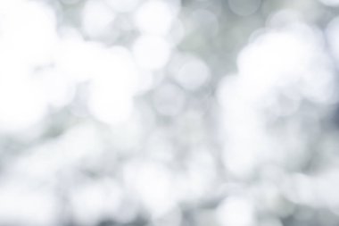 Beyaz bulanık arkaplan. Gri soyut arka plan. Doğanın yumuşak arkaplanı soyut arkaplan. Duvar kağıdı veya arkaplan için kullanılır