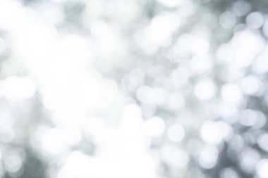 Beyaz bulanık arkaplan. Gri soyut arka plan. Doğanın yumuşak arkaplanı soyut arkaplan. Duvar kağıdı veya arkaplan için kullanılır