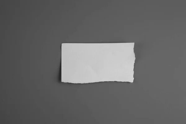 Blank Portrait Mock Crumpled Paper Brochure Magazine Isolated Gray Background — Stock fotografie