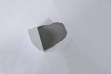 Gri arka planda beyaz yırtık kağıt. koleksiyon kağıdı yırtılması