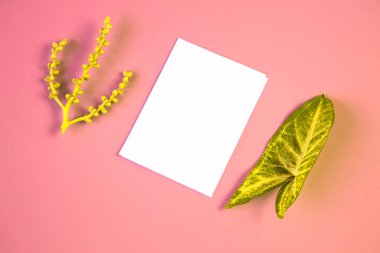 Flat lay blank portrait mock-up paper and Tropical jungle Monstera leaves. brochure magazine isolated on pink, changeable background.