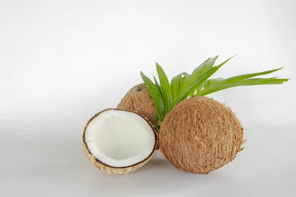 Brown Dry Coconut Coconut Milk Glass White Background — Stockfoto