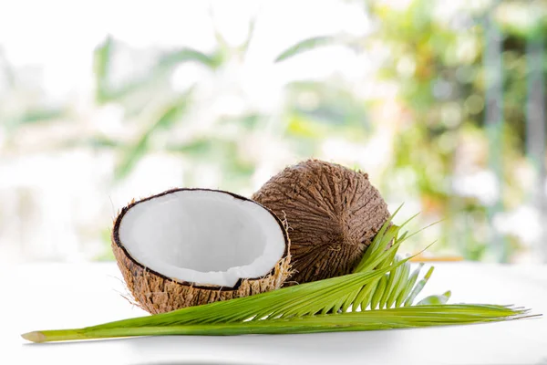 Ripe Half Cut Coconut White Background Real Coconut Cream Oil — Stock Fotó
