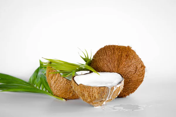 Ripe Half Cut Coconut White Background Real Coconut Cream Oil — 图库照片