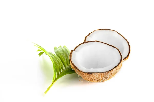 Brown Dry Coconut Coconut Milk Ripe Half Cut Coconut White — Stock Fotó