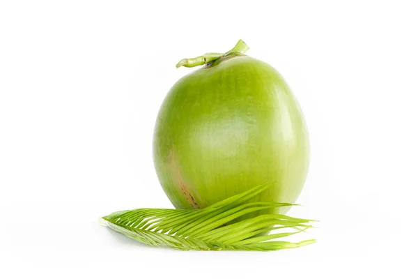 Green Coconut White Background Real Coconut Nature — Stock Fotó