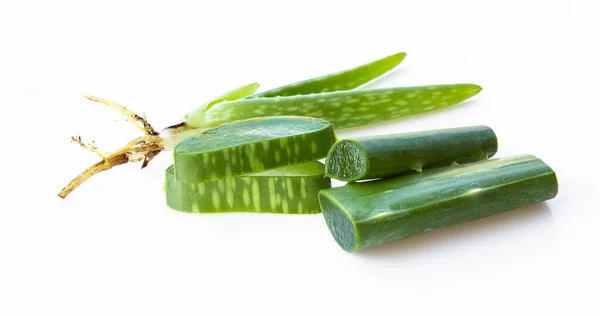 Aloe Vera White Background Real Aloe Vera Nature Healthcare Medical — Fotografia de Stock