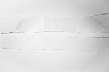 blank white paper sheet for interior design with copy space.