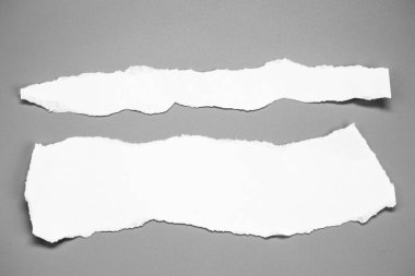Gri arka planda beyaz yırtık kağıt. koleksiyon kağıdı yırtılması