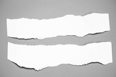 Gri arka planda beyaz yırtık kağıt. koleksiyon kağıdı yırtılması
