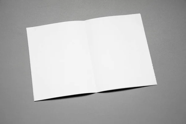 Papel Maquete Retrato Branco Revista Brochura Isolado Cinza Fundo Mutável — Fotografia de Stock