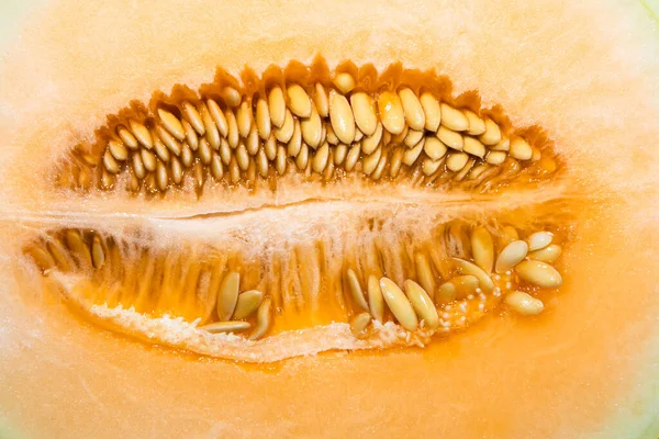Cantaloupe Texture Background Yellow Melon Pattern Nature — Stok Foto