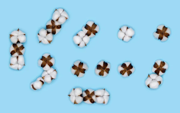 Kit of punctuation marks made of cotton flowers and isolated on solid blue background. Floral numbers and alphabet concept. Part of the set of cotton font easy to stacking.