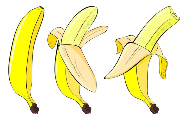 Банани Тропічні Фрукти Очистіть Банан Візьміть Укус Ілюстрація Мультфільму Векторі — стоковий вектор