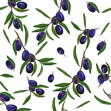 Yapraklı bir dalda mavi zeytin. Kusursuz suluboya arkaplan