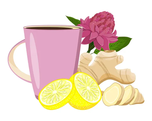 Ginger Root Flower Lemon Mug Hot Tea Healing Drink Ginger — Stock Vector