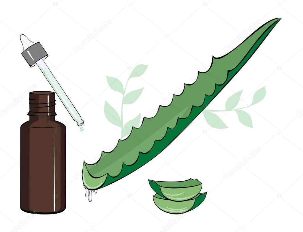Healing aloe leaf. Aloe juice, a bottle of juice and a pipette.