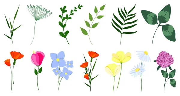 Flores Hojas Conjunto Ilustraciones Vectoriales Con Flores Silvestres — Vector de stock