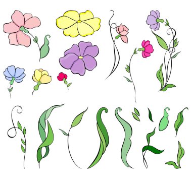 Çiçekler, tomurcuklar, dallar ve yapraklar vektörde. Dekoratif elementler kümesi.
