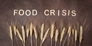 Food crisis with increasing prices and shortages, wheat ears on a brown background, supply chain problems, inflation causes high living costs