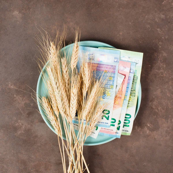 Plate Wheat Euro Banknotes Food Shortage Increasing Prices Poverty Inflation — Stockfoto