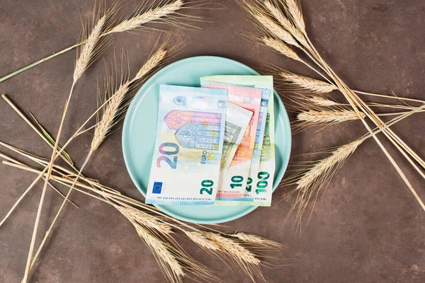 Plate Wheat Euro Banknotes Food Shortage Increasing Prices Poverty Inflation — Stockfoto