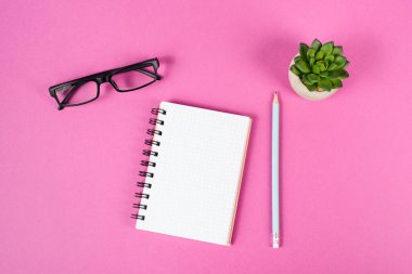 Empty notebook with a pen, eyeglasses and a cactus on a pink background, brainstorming for new ideas, writing a message, taking a break, home office desk