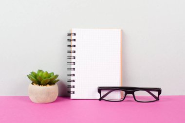 Empty notebook with a pen, eyeglasses and a cactus on a pink background, brainstorming for new ideas, writing a message, taking a break, home office desk